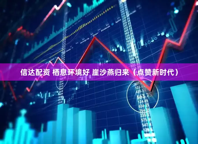 信达配资 栖息环境好 崖沙燕归来（点赞新时代）