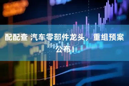 配配查 汽车零部件龙头，重组预案公布！