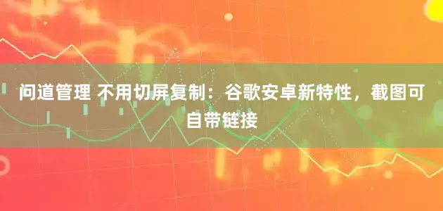 问道管理 不用切屏复制：谷歌安卓新特性，截图可自带链接