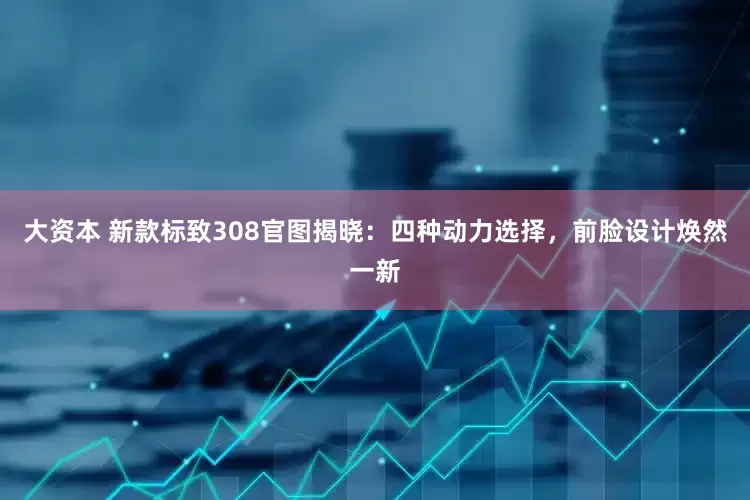 大资本 新款标致308官图揭晓：四种动力选择，前脸设计焕然一新