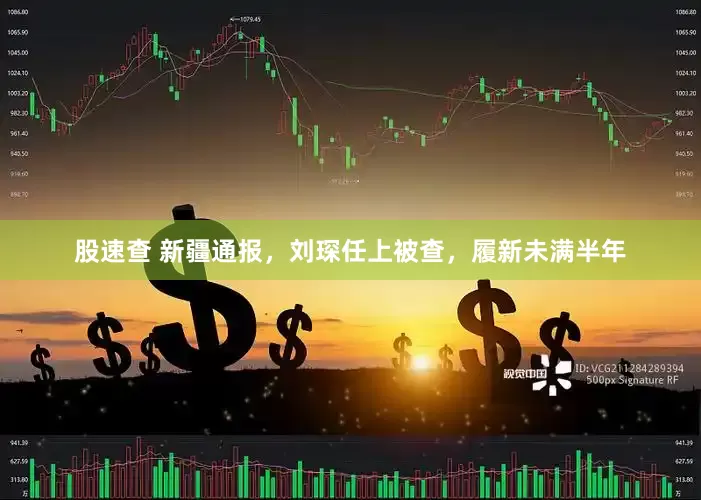 股速查 新疆通报，刘琛任上被查，履新未满半年
