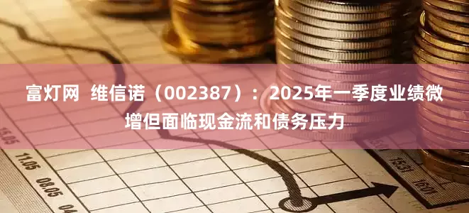 富灯网  维信诺（002387）：2025年一季度业绩微增但面临现金流和债务压力
