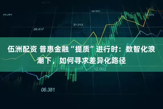 伍洲配资 普惠金融“提质”进行时：数智化浪潮下，如何寻求差异化路径